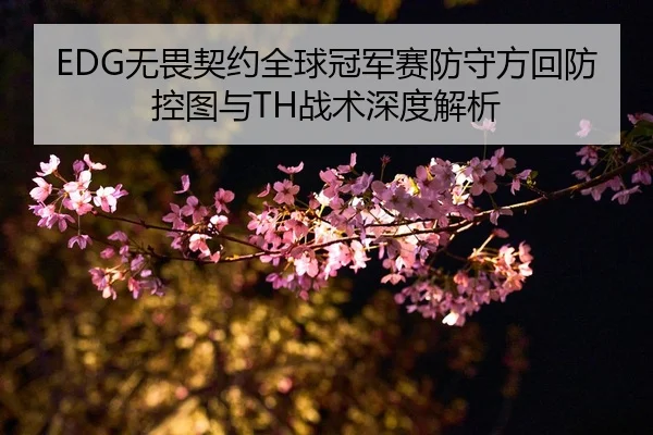 wu-wei-qi-yue-quan-qiu-guan-jun-sai-fang-shou-fang-hui-fang-kong-tu-yu-zhan-shu-shen-du-jie-xi-2-796.jpg