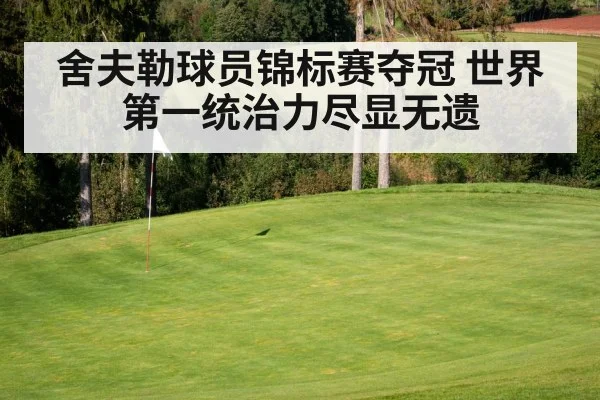 舍夫勒球员锦标赛夺冠 世界第一统治力尽显无遗